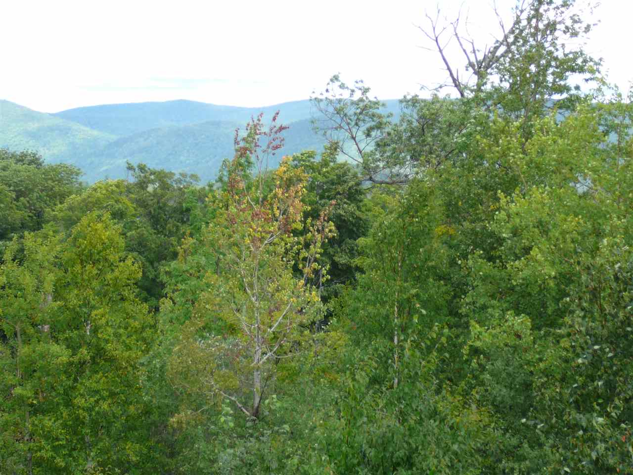 255 Old Mill Road, Unit F23 Killington, VT 05751 - Photo 12 of 22 Gallery Image 12
