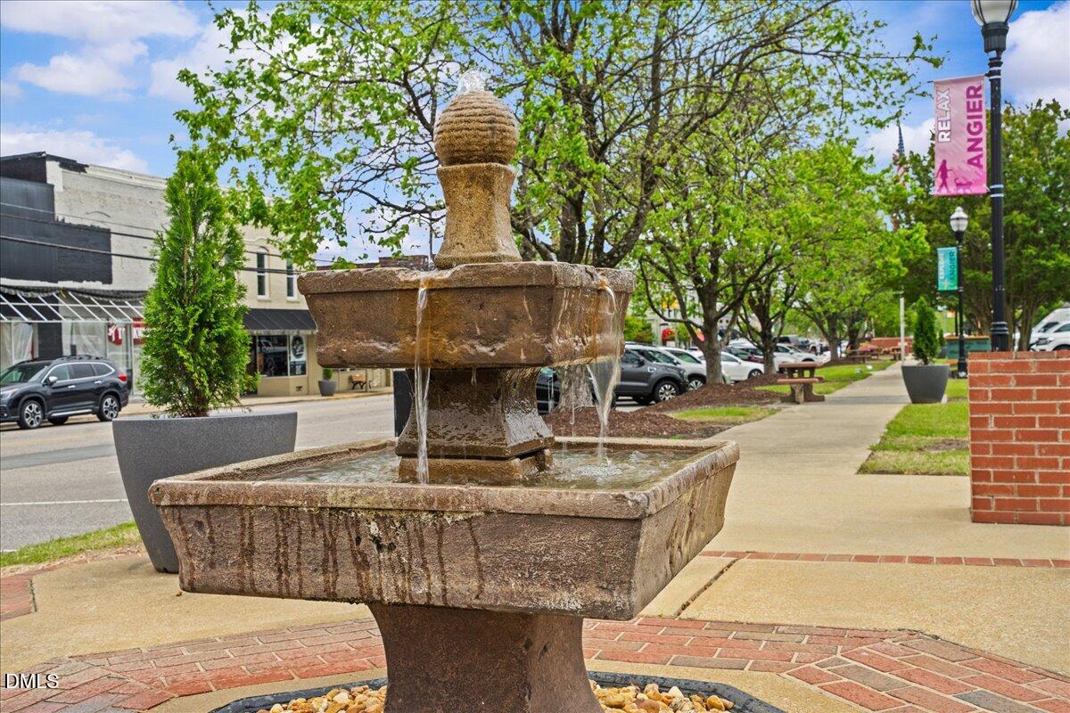 22 Bloodroot Street, Unit 124 Angier, NC 27501 - Photo 24 of 29 14-DSC00045