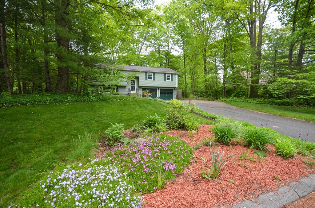 211 Mason Road Northbridge, MA 01588 - Photo 1 of 25 a view of a garden with a house in the background