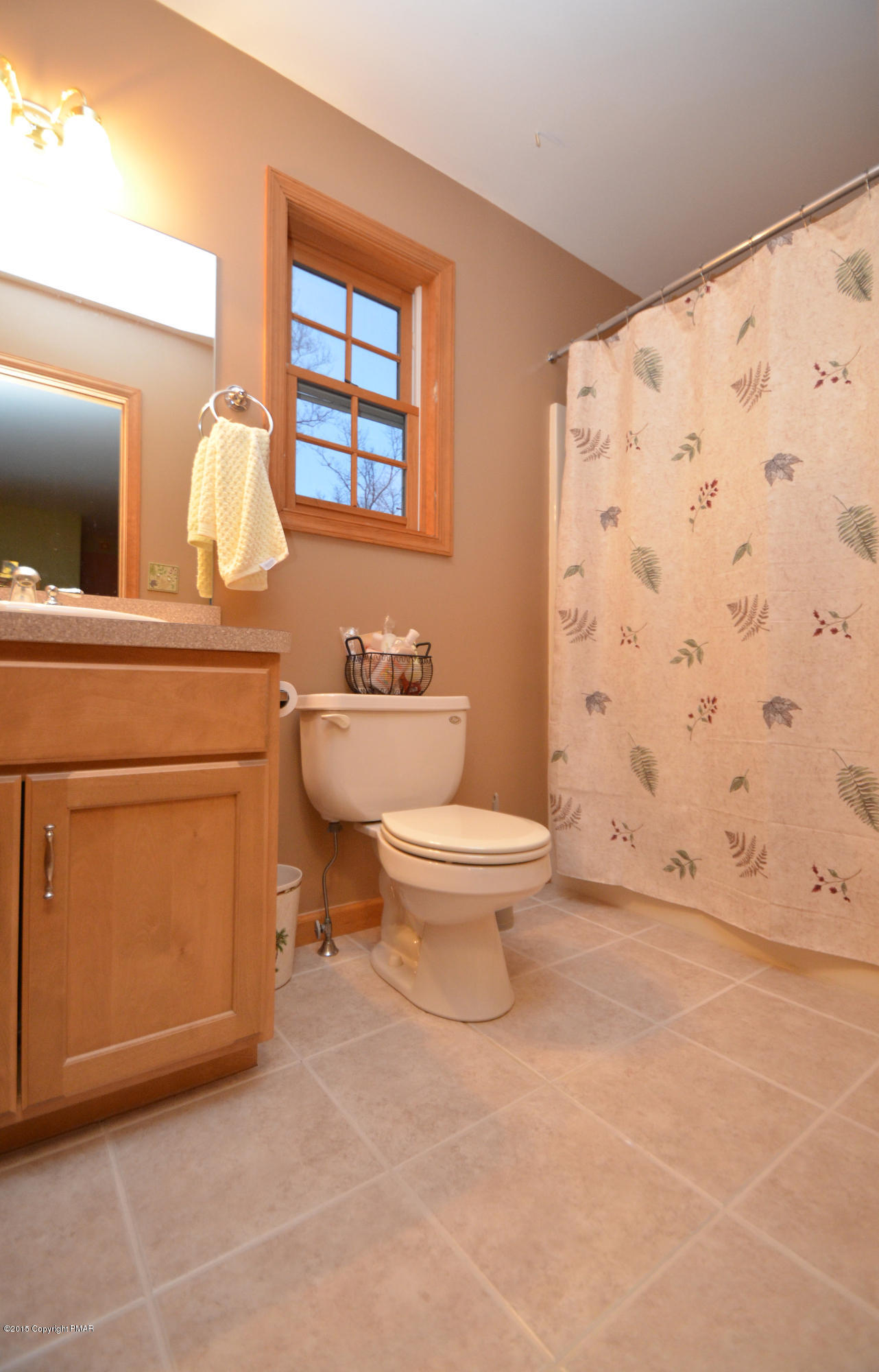 699 Buckle Boot Road Henryville, PA 18332 - Photo 21 of 26 a bathroom with a toilet sink and mirror