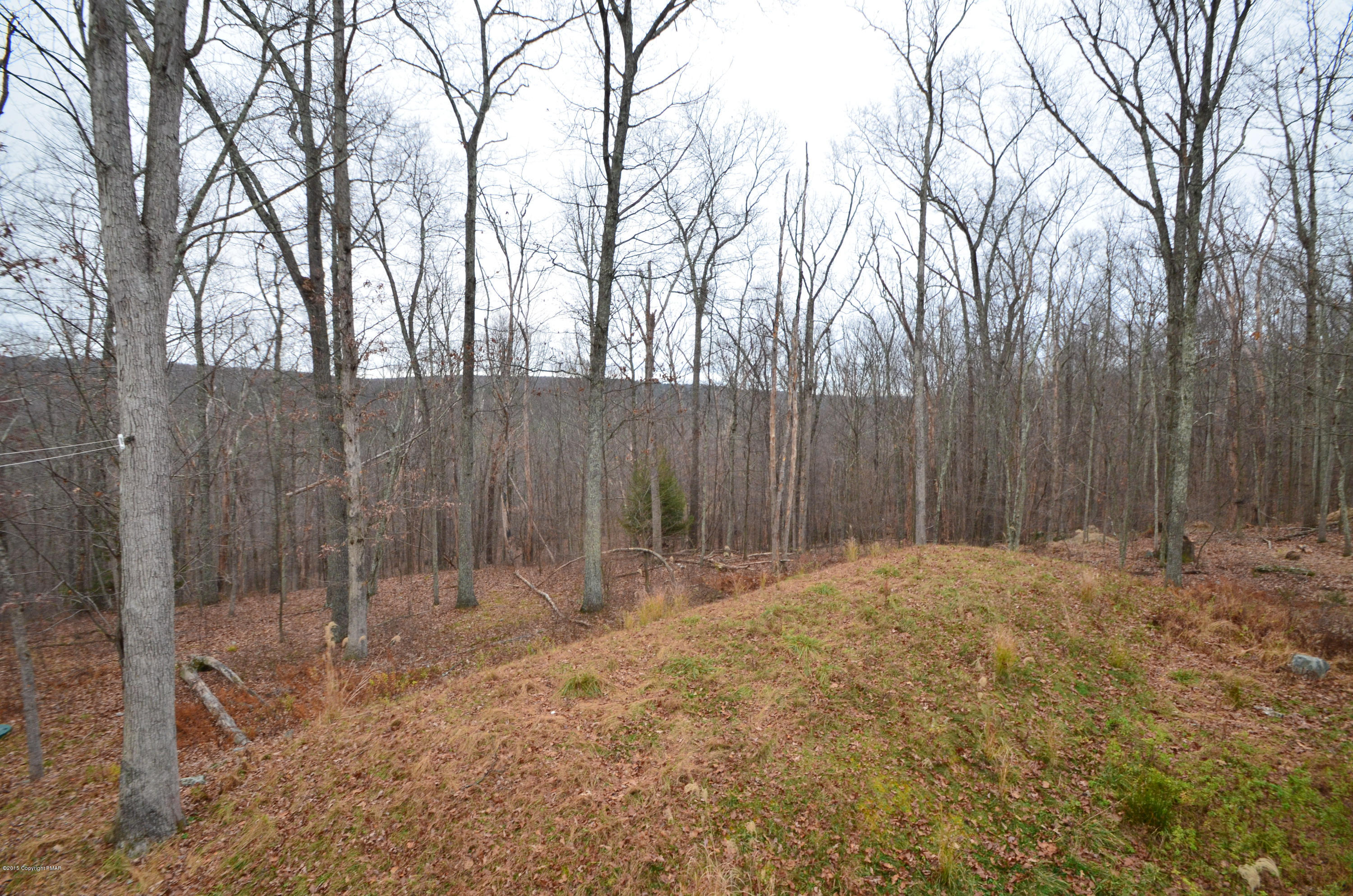 699 Buckle Boot Road Henryville, PA 18332 - Photo 24 of 26 a backyard of a house with lots of tall trees