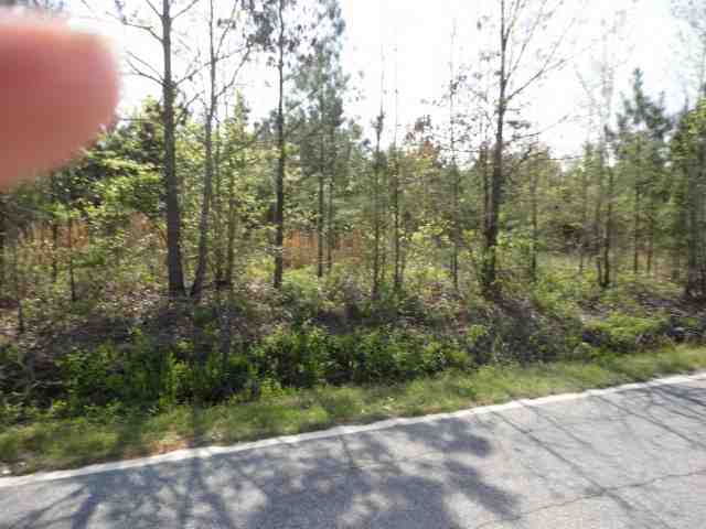 450 Trail Road, Unit TRACT 6 11 0 ACRES Belton, SC 29627 - Photo 3 of 5