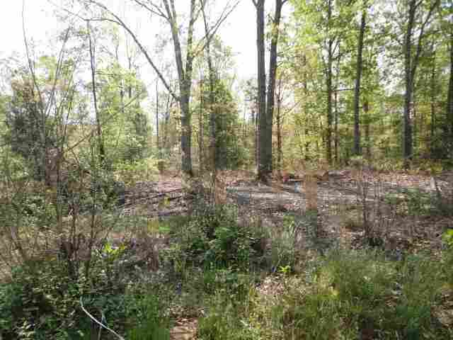 450 Trail Road, Unit TRACT 6 11 0 ACRES Belton, SC 29627 - Photo 5 of 5