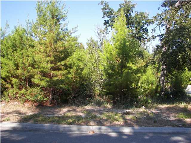 Lot 21 Botany Bayou Santa Rosa Beach, FL 32459 - Photo 3 of 7 Gallery Image 3