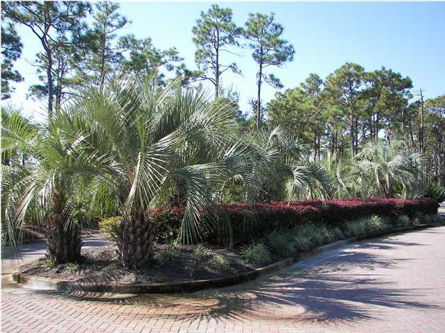 Lot 21 Botany Bayou Santa Rosa Beach, FL 32459 - Photo 6 of 7 Gallery Image 6