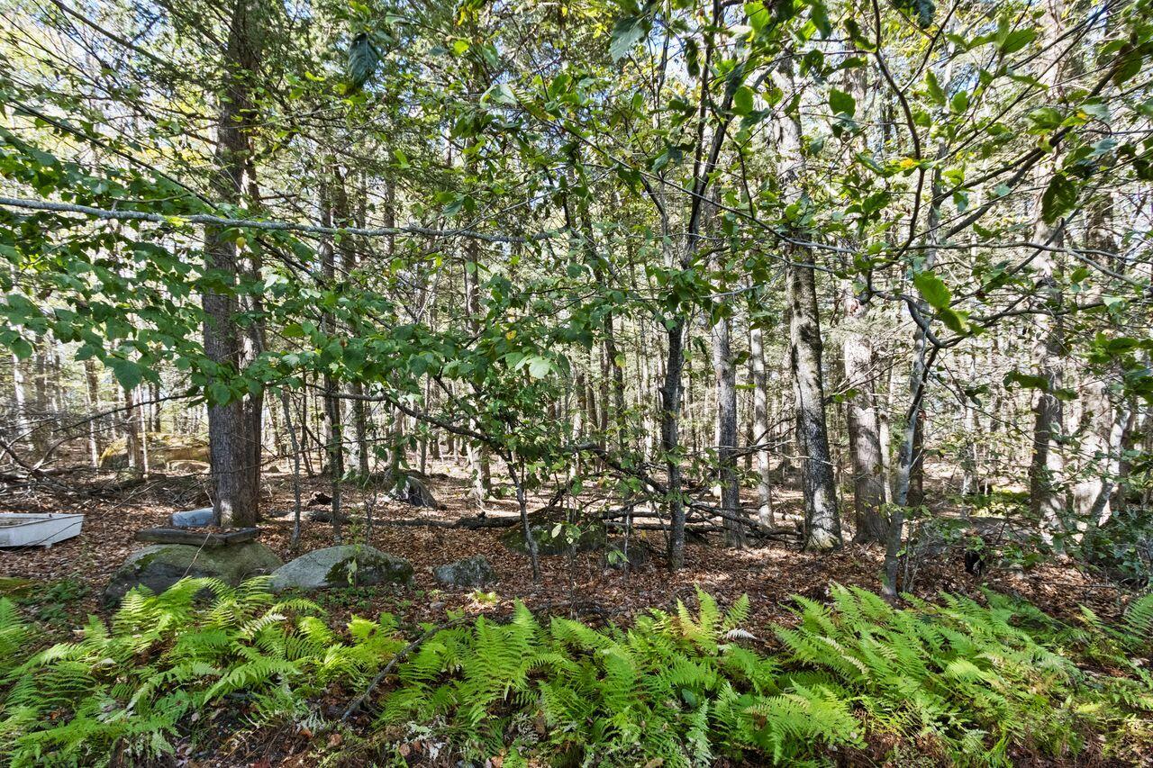 114 Wild Acres Road Raymond, ME 04071 - Photo 16 of 100 20251009SB-71079