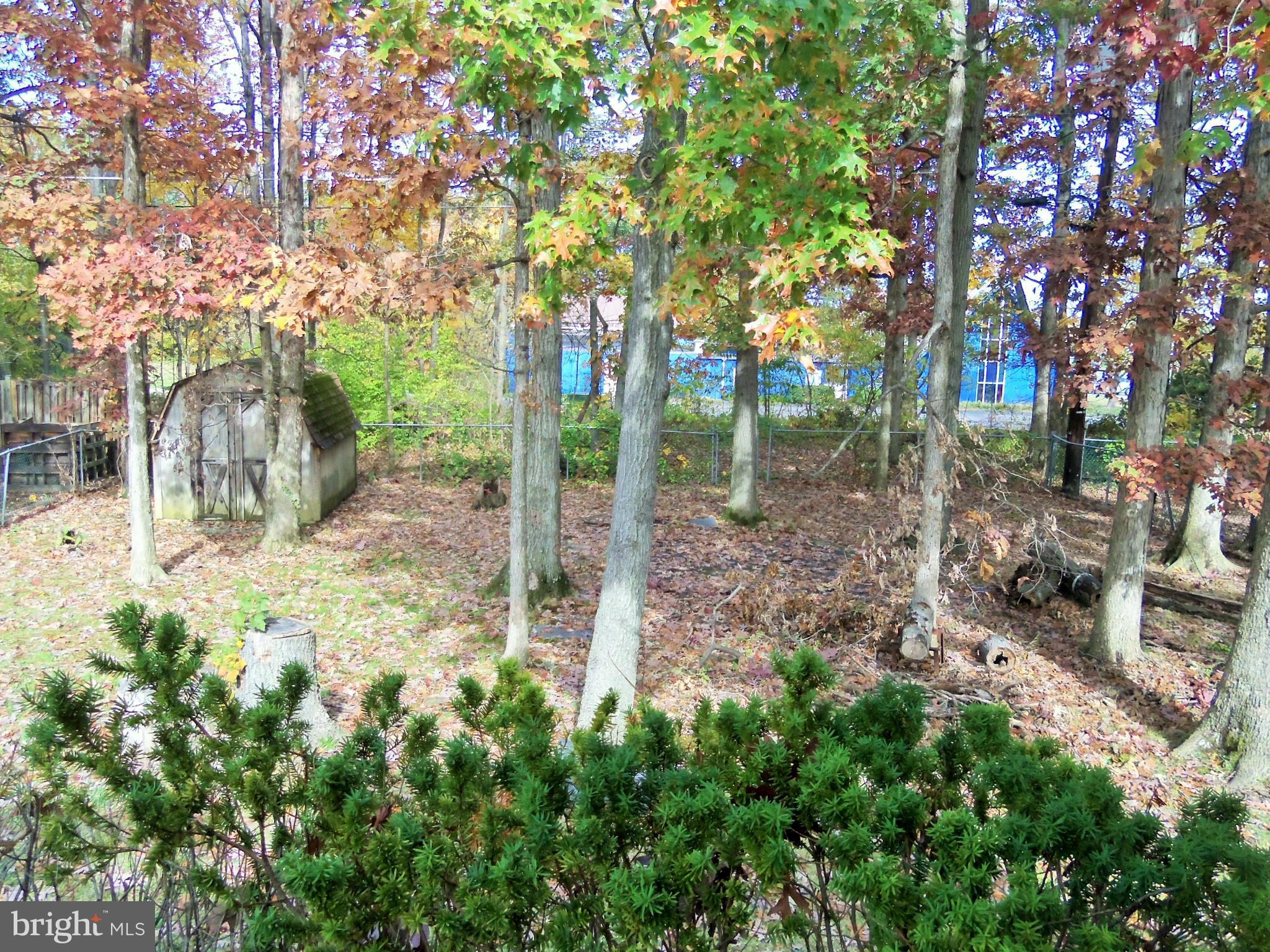 1920 Brookdale Road Baltimore, MD 21244 - Photo 20 of 22 a backyard of a house with lots of green space