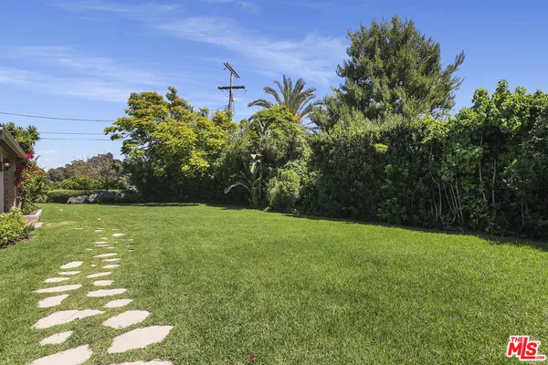 a view of a yard