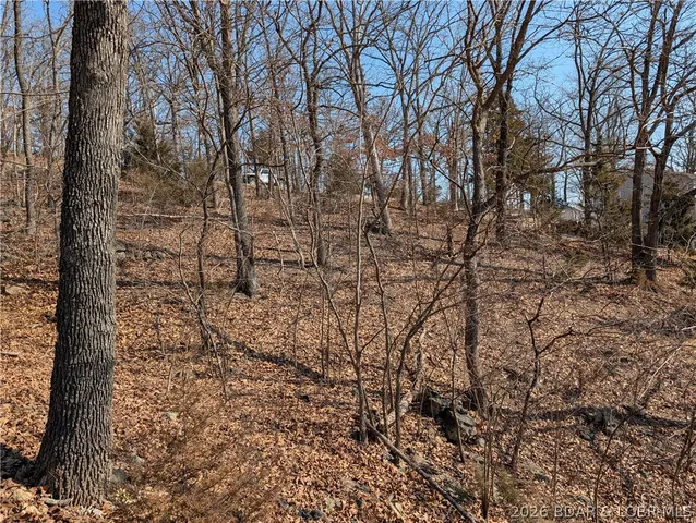 $300,000 | 8 Rocky Shores Lane, Sunrise Beach, MO 65079