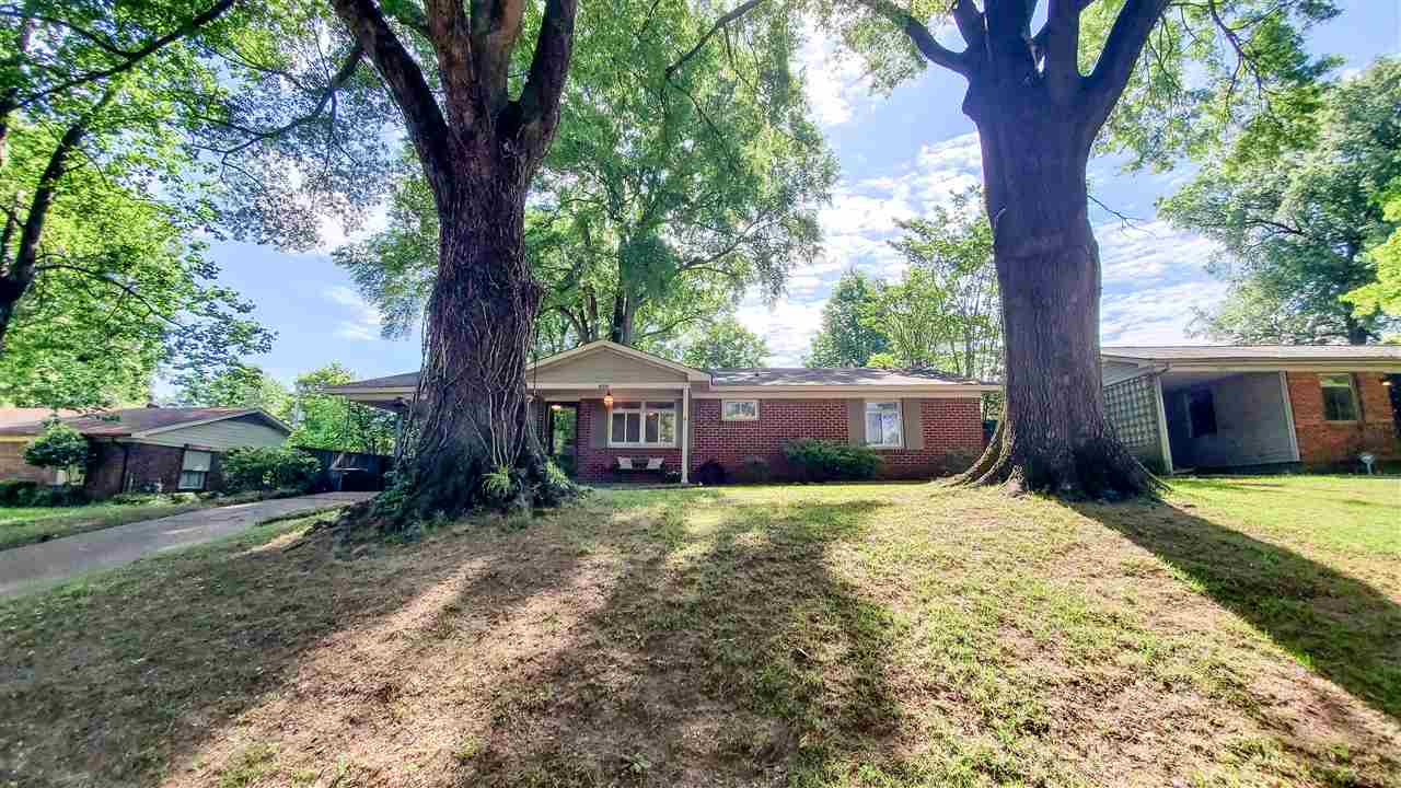 488 Chalmers Road Memphis, TN 38120 - Photo 3 of 19