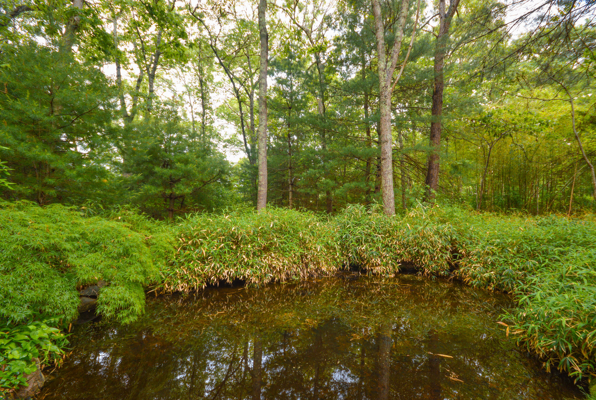 18 Punkhorn Point Road Mashpee, MA 02649 - Photo 25 of 33 High Res Uncropped-925