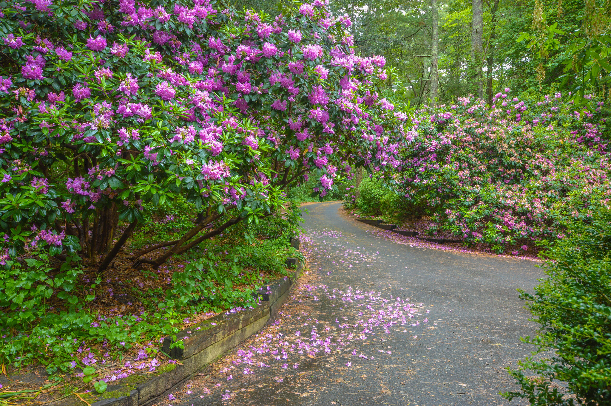 18 Punkhorn Point Road Mashpee, MA 02649 - Photo 27 of 33 High Res Uncropped-927