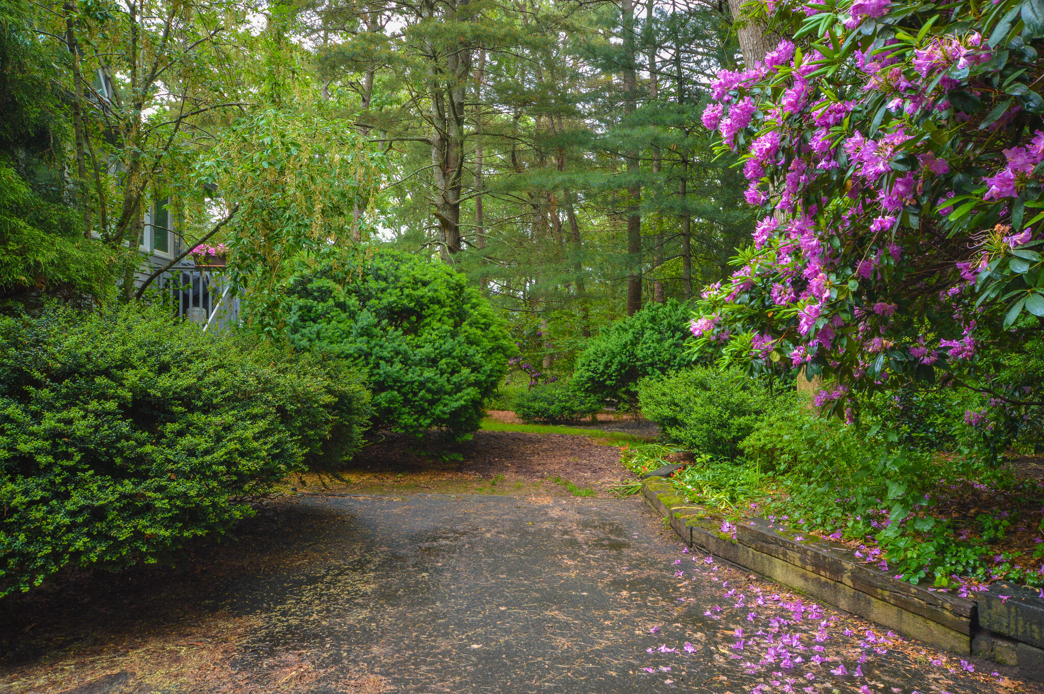 18 Punkhorn Point Road Mashpee, MA 02649 - Photo 28 of 33 High Res Uncropped-928