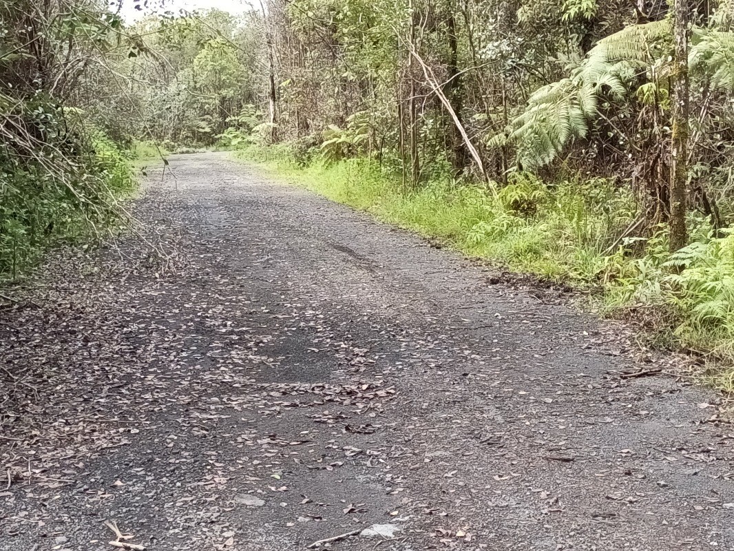 369 Kaulana Road Mountain View, HI 96771 - Photo 11 of 13