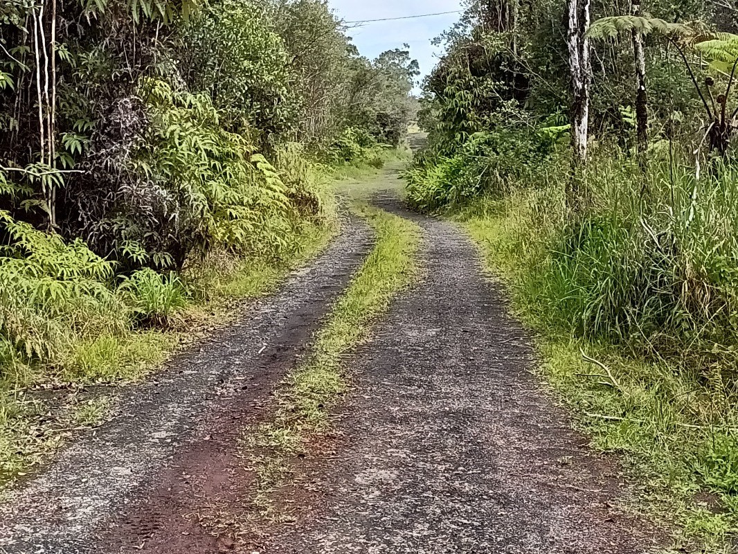 369 Kaulana Road Mountain View, HI 96771 - Photo 12 of 13