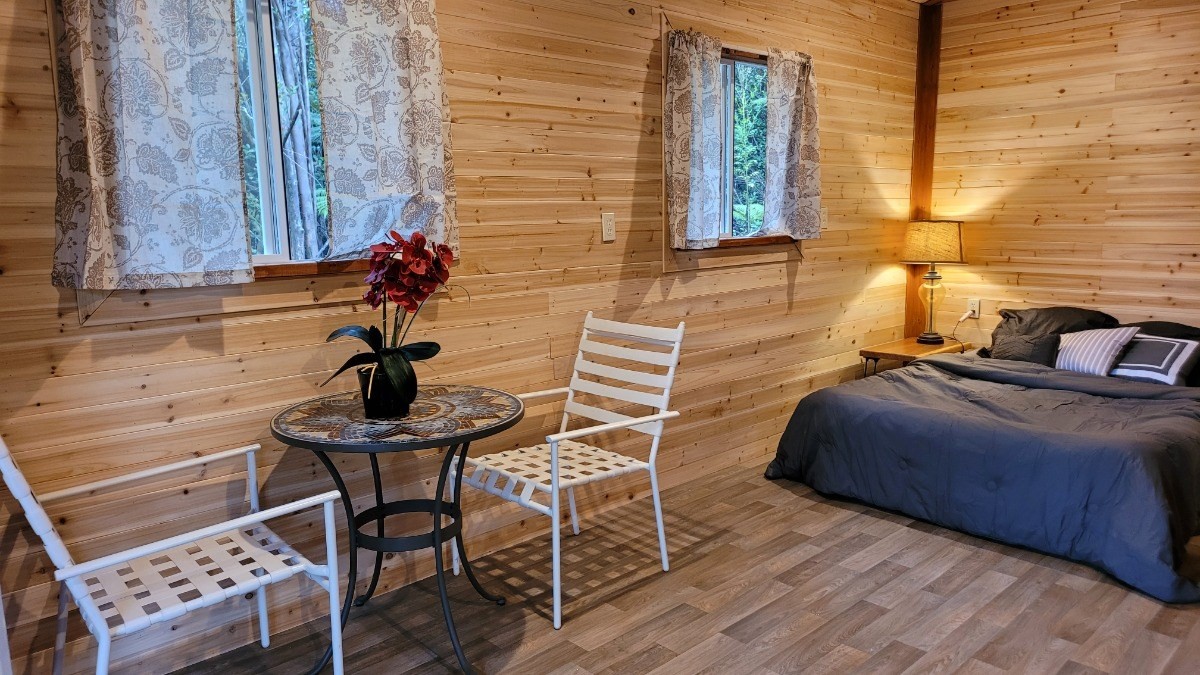 369 Kaulana Road Mountain View, HI 96771 - Photo 6 of 13