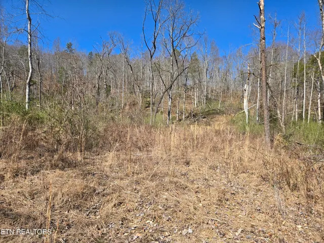 $550,000 | 110 Braden Chapel Road, Speedwell, TN 37870