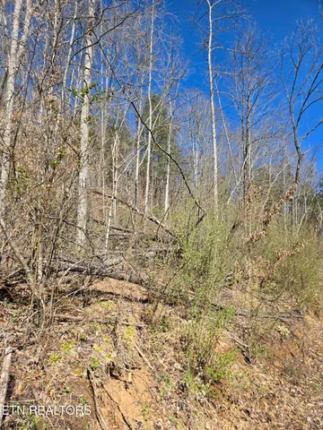 $550,000 | 110 Braden Chapel Road, Speedwell, TN 37870