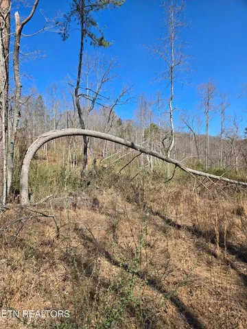 $550,000 | 110 Braden Chapel Road, Speedwell, TN 37870