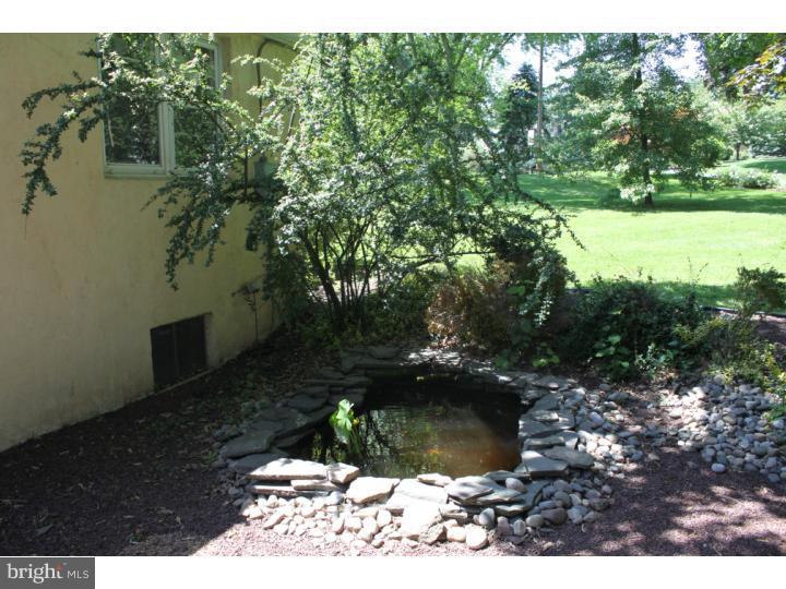 79 Bluebird Road Southampton, PA 18966 - Photo 8 of 25 Back Yard
