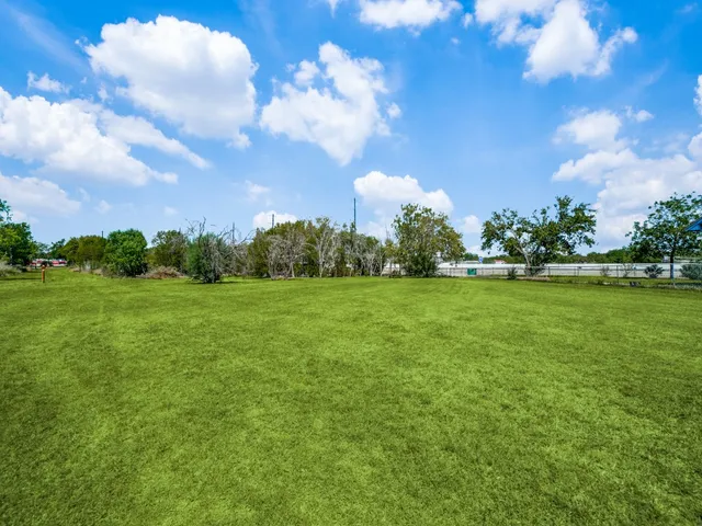 a view of a big yard with flower plants and large tree