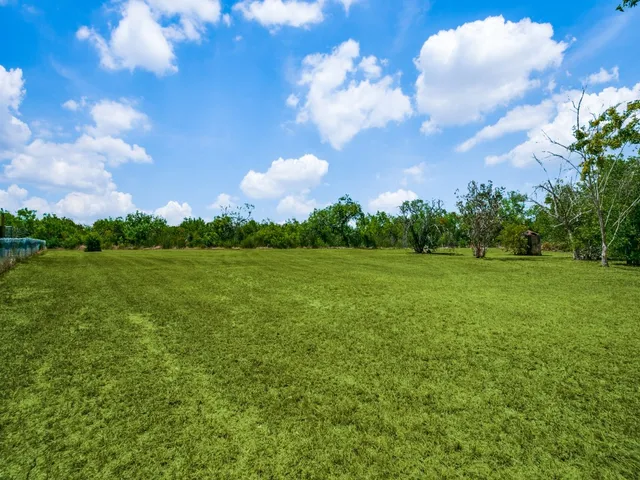a view of a backyard with large trees