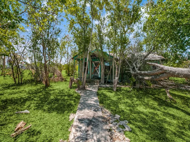 a view of a yard with plants