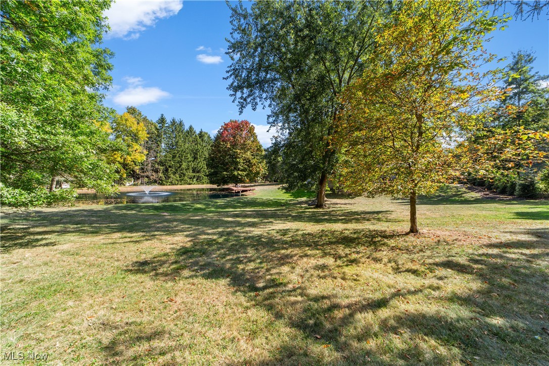 3694 Nichols Road Medina, OH 44256 - Photo 33 of 47 View of grassy yard featuring view of scattered trees