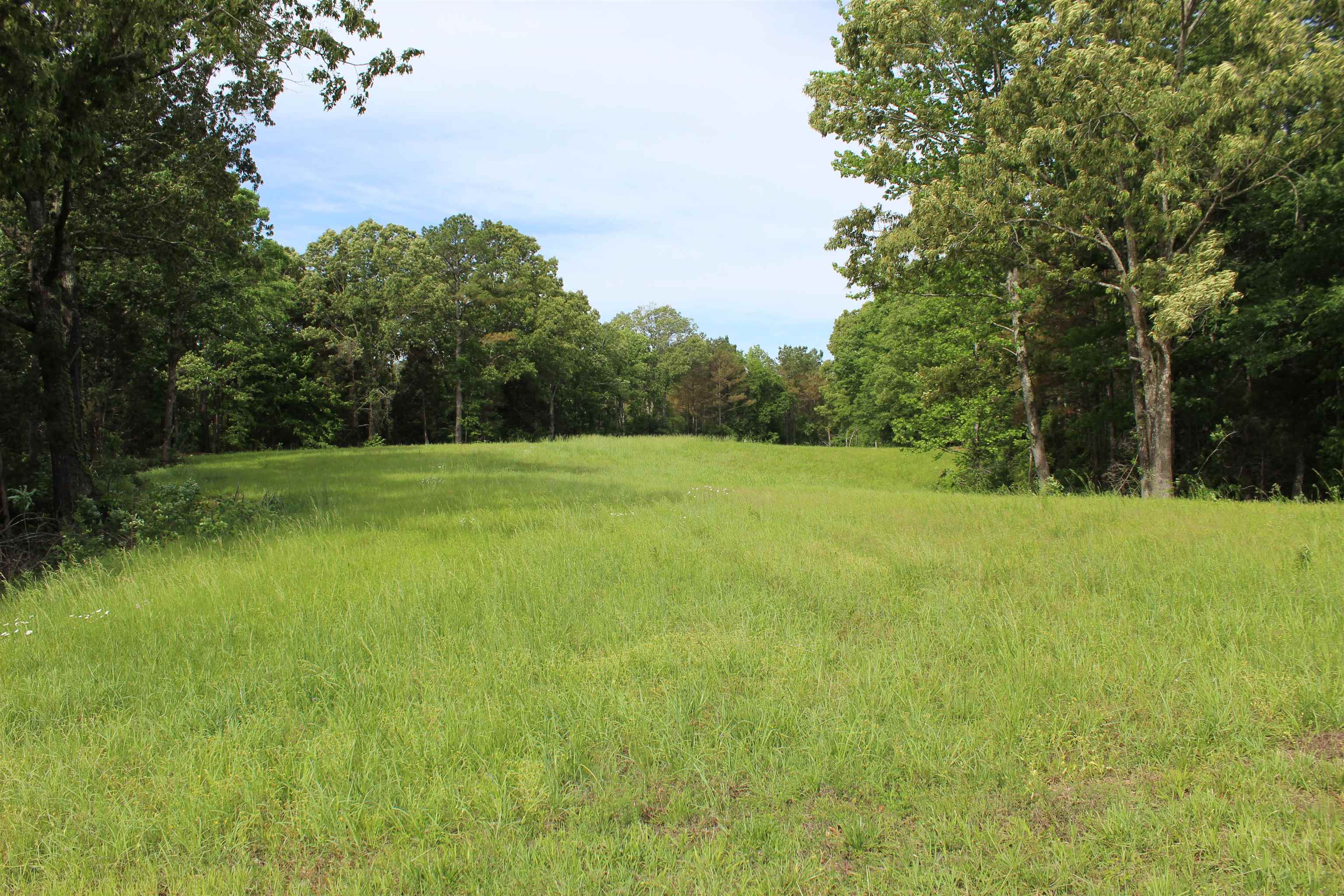 0 Silerton Road Toone, TN 38381 - Photo 6 of 24