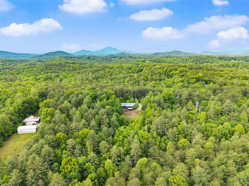 707 South Fern Cove Road Sautee Nacoochee, GA 30571 - Photo 56 of 60