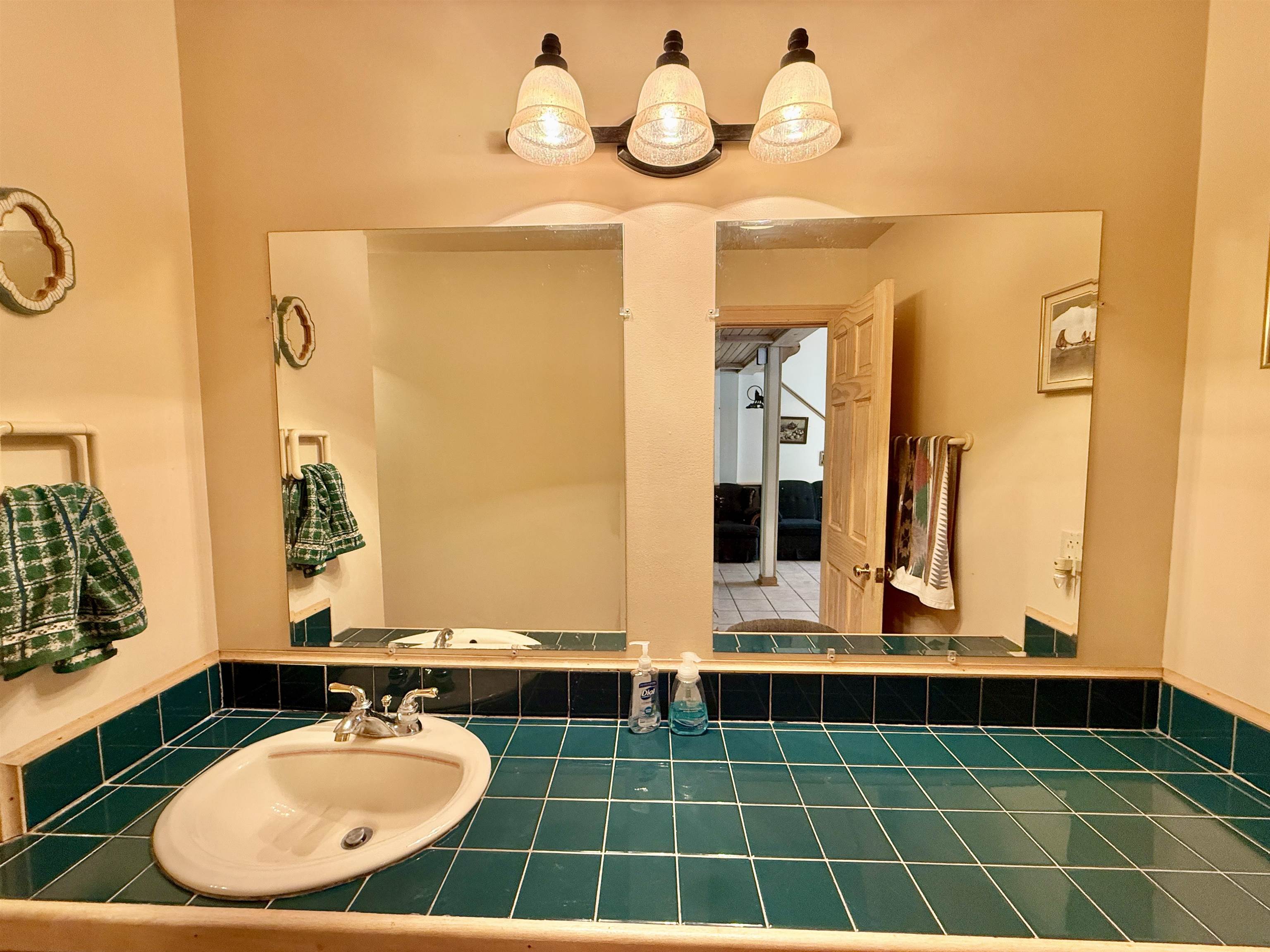 2242 West 15th Avenue Friendship, WI 53934 - Photo 21 of 50