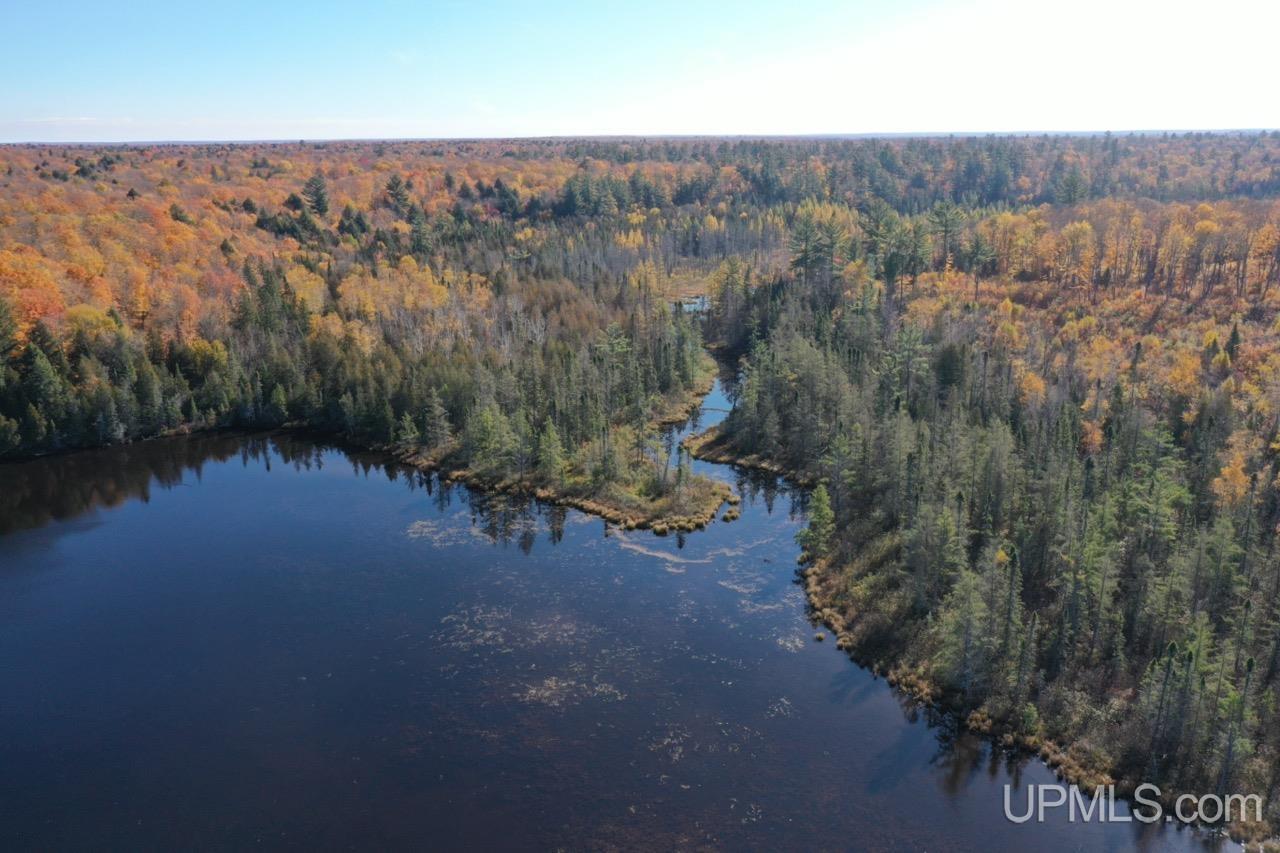 527 Usfs Road Iron River, MI 49935 - Photo 18 of 37