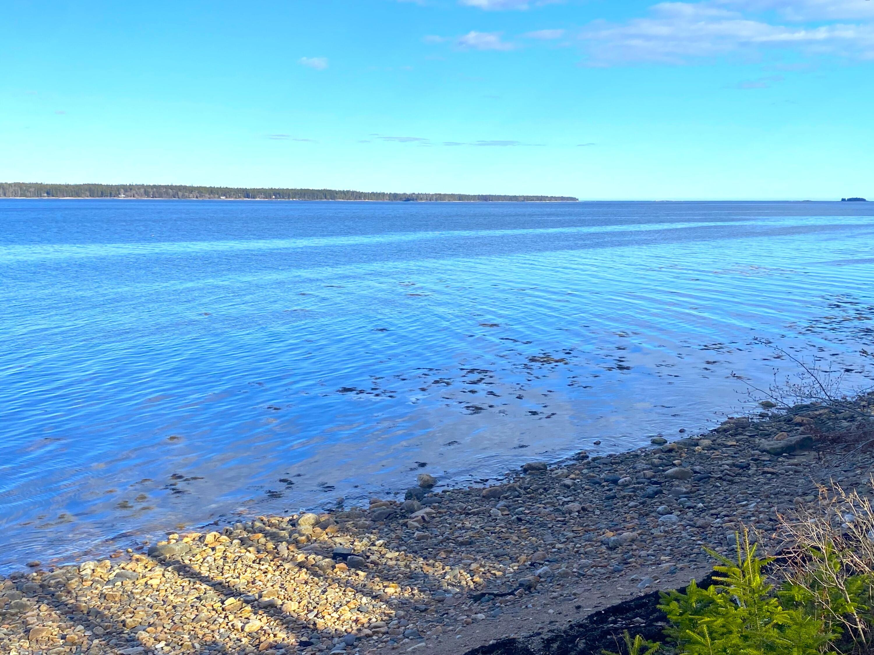 515 Paul Bunyan Road Corea, ME 04624 - Photo 46 of 52