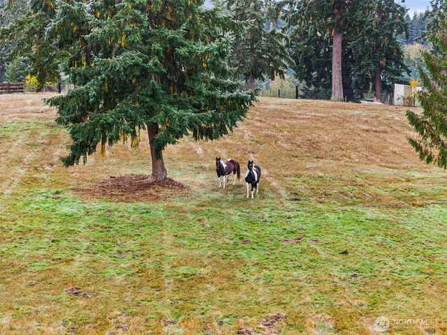 a view of a yard with a tree