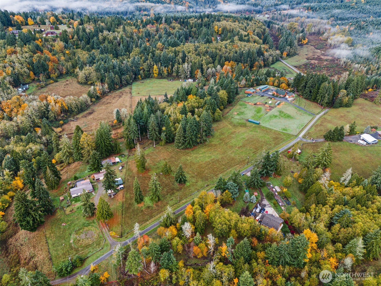 207 Ramsaur Road Centralia, WA 98531 - Photo 39 of 40 an aerial view of residential houses with outdoor space and trees