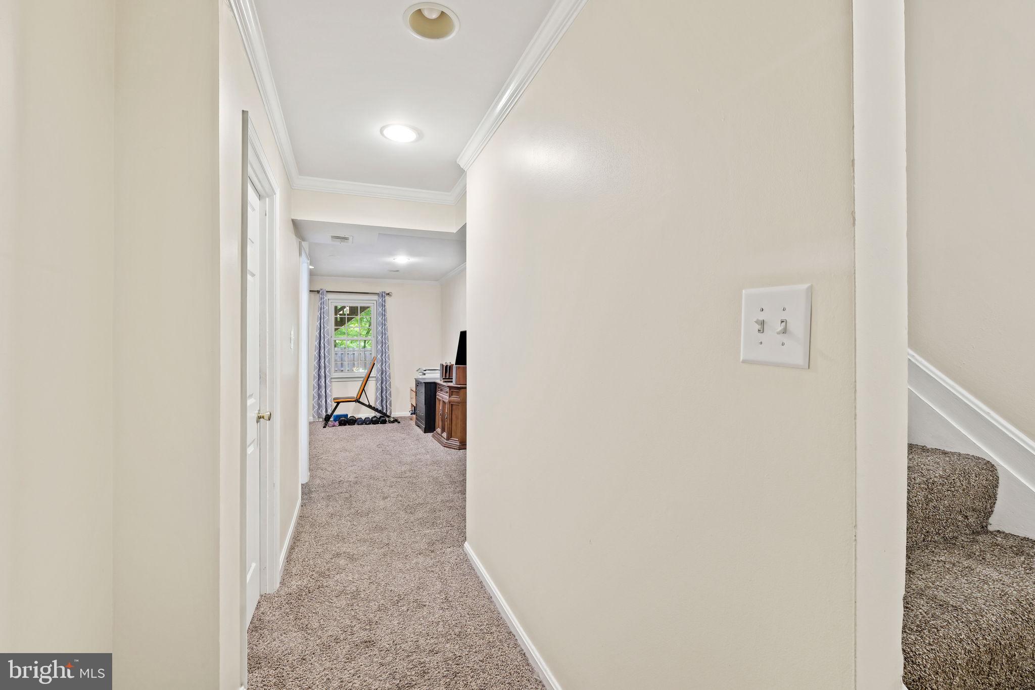 7344 Greentree Road Bethesda, MD 20817 - Photo 22 of 33 Lower Level Flex Space