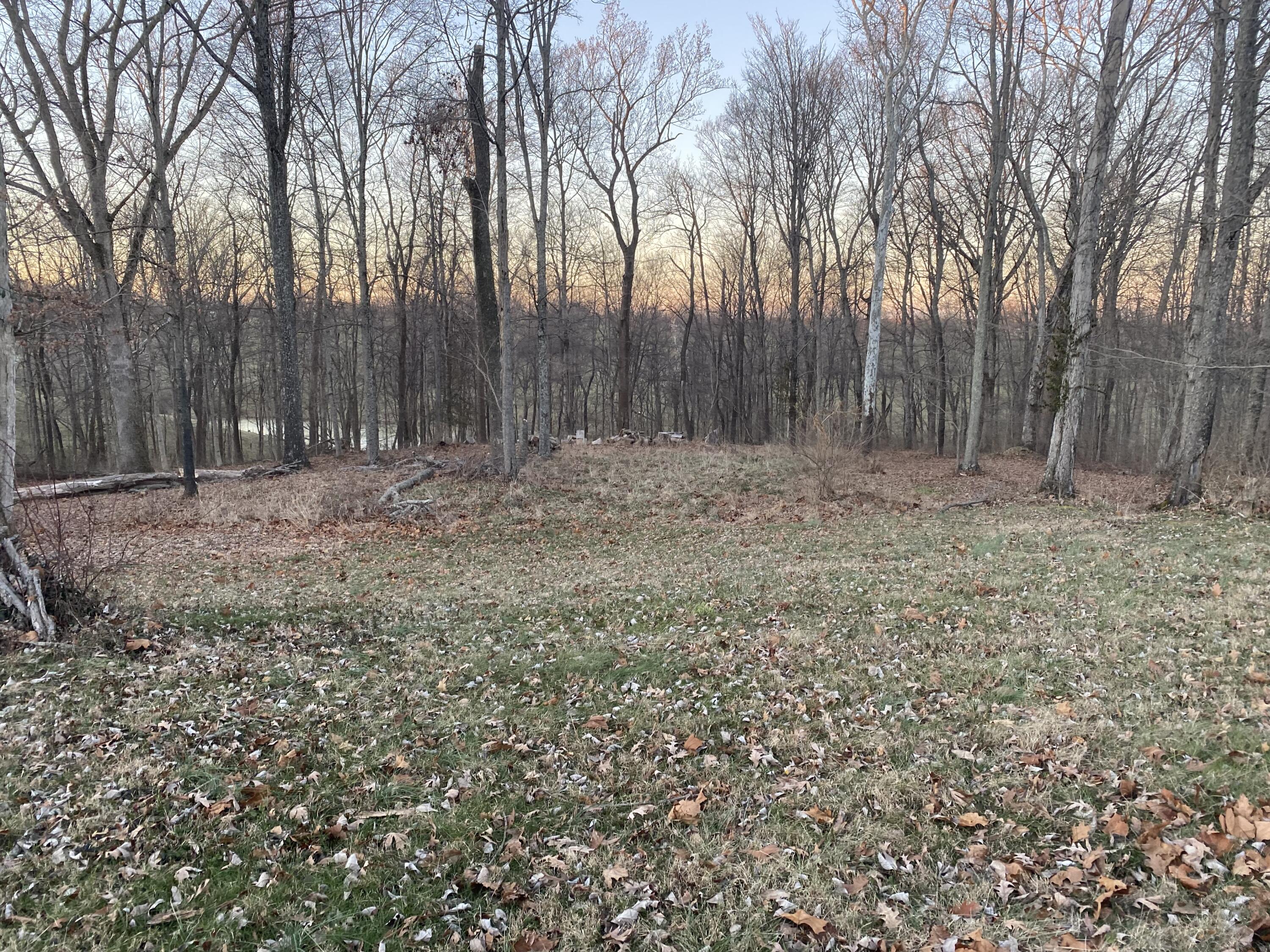 2422 Moffett Road Independence, KY 41051 - Photo 7 of 12