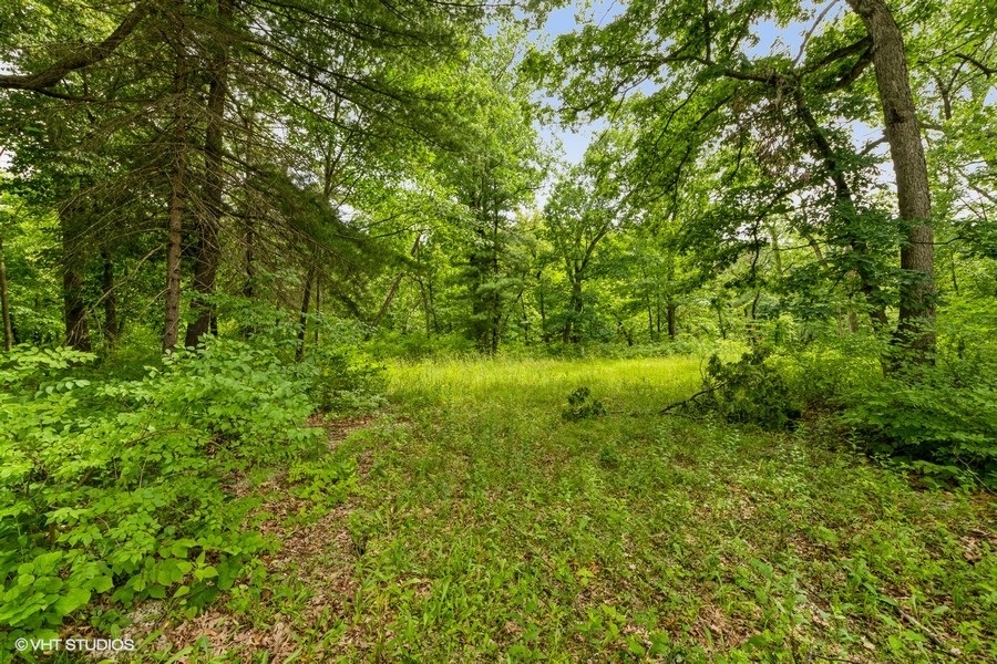 a view of yard with green space