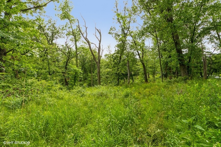 11700 German Church Road Burr Ridge, IL 60527 - Photo 2 of 13 a view of forest