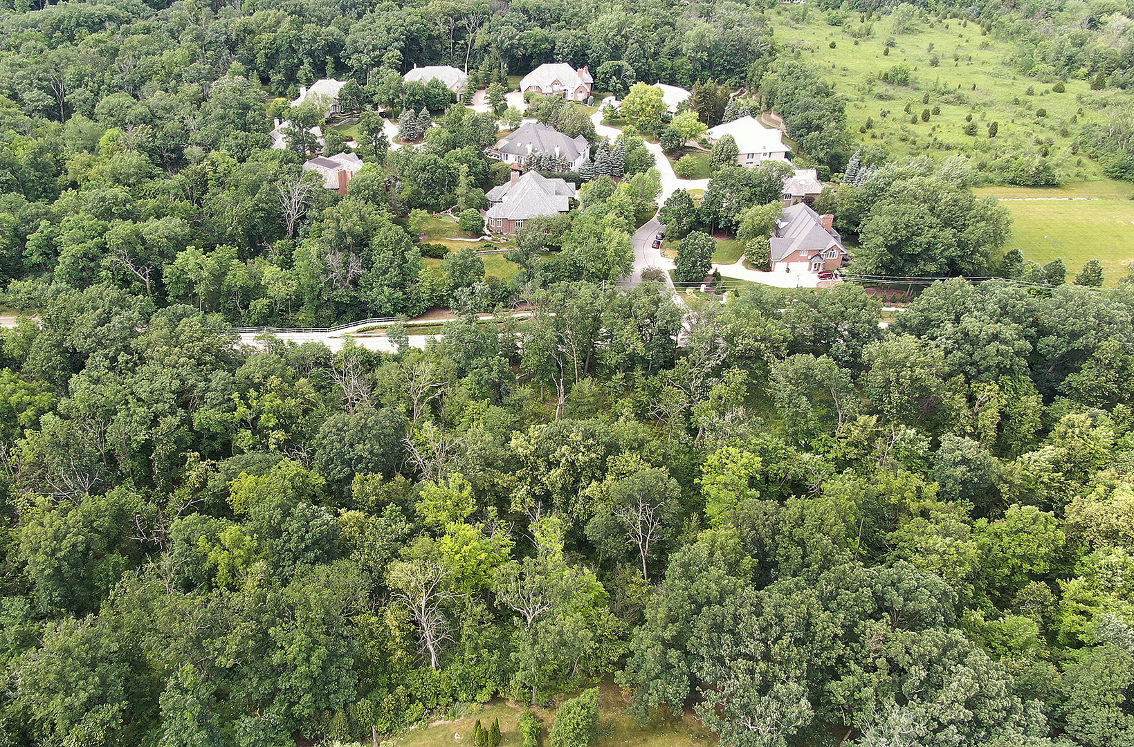 11700 German Church Road Burr Ridge, IL 60527 - Photo 12 of 13 a view of a bunch of trees and flowers