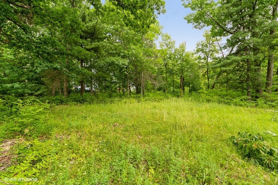 11700 German Church Road Burr Ridge, IL 60527 - Photo 3 of 13 a view of yard with green space