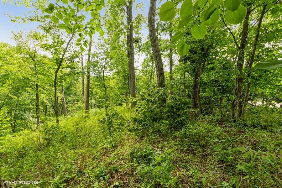 11700 German Church Road Burr Ridge, IL 60527 - Photo 5 of 13 a view of a lush green forest
