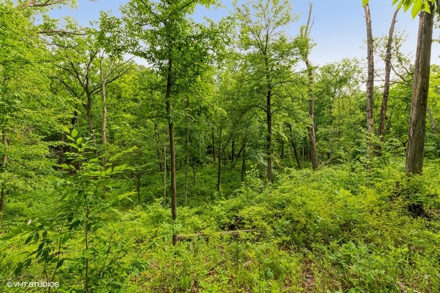 11700 German Church Road Burr Ridge, IL 60527 - Photo 6 of 13 a view of a lush green forest