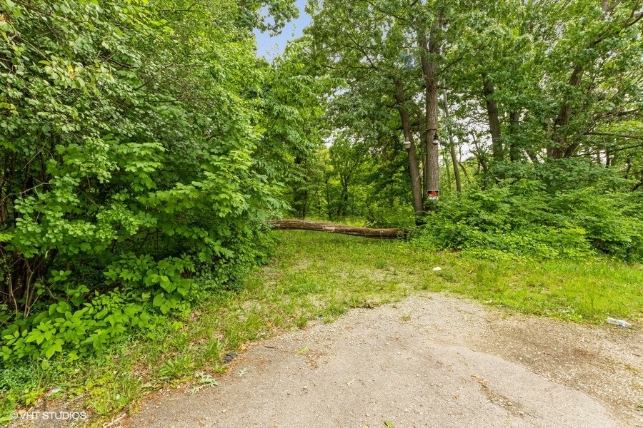 11700 German Church Road Burr Ridge, IL 60527 - Photo 7 of 13 a view of backyard with green space