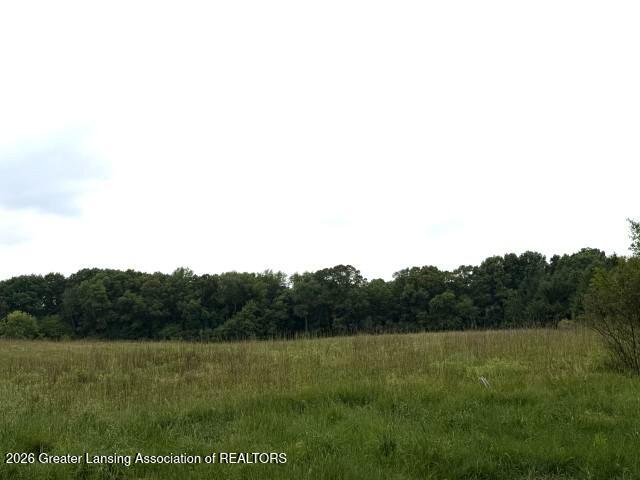 5232 Parsons Road Concord, MI 49237 - Photo 9 of 30