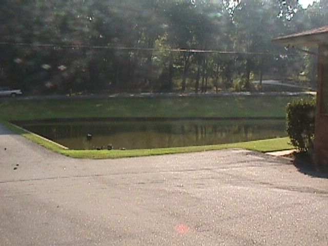 305 Kings Road Anderson, SC 29621 - Photo 8 of 8 Gallery Image 8