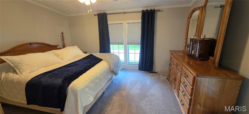 18371 Perry Road Pittsburg, IL 62974 - Photo 31 of 61