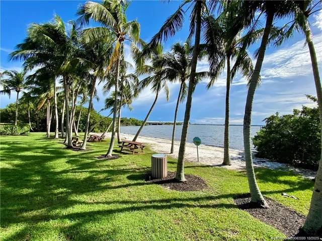 a view of a park with palm trees