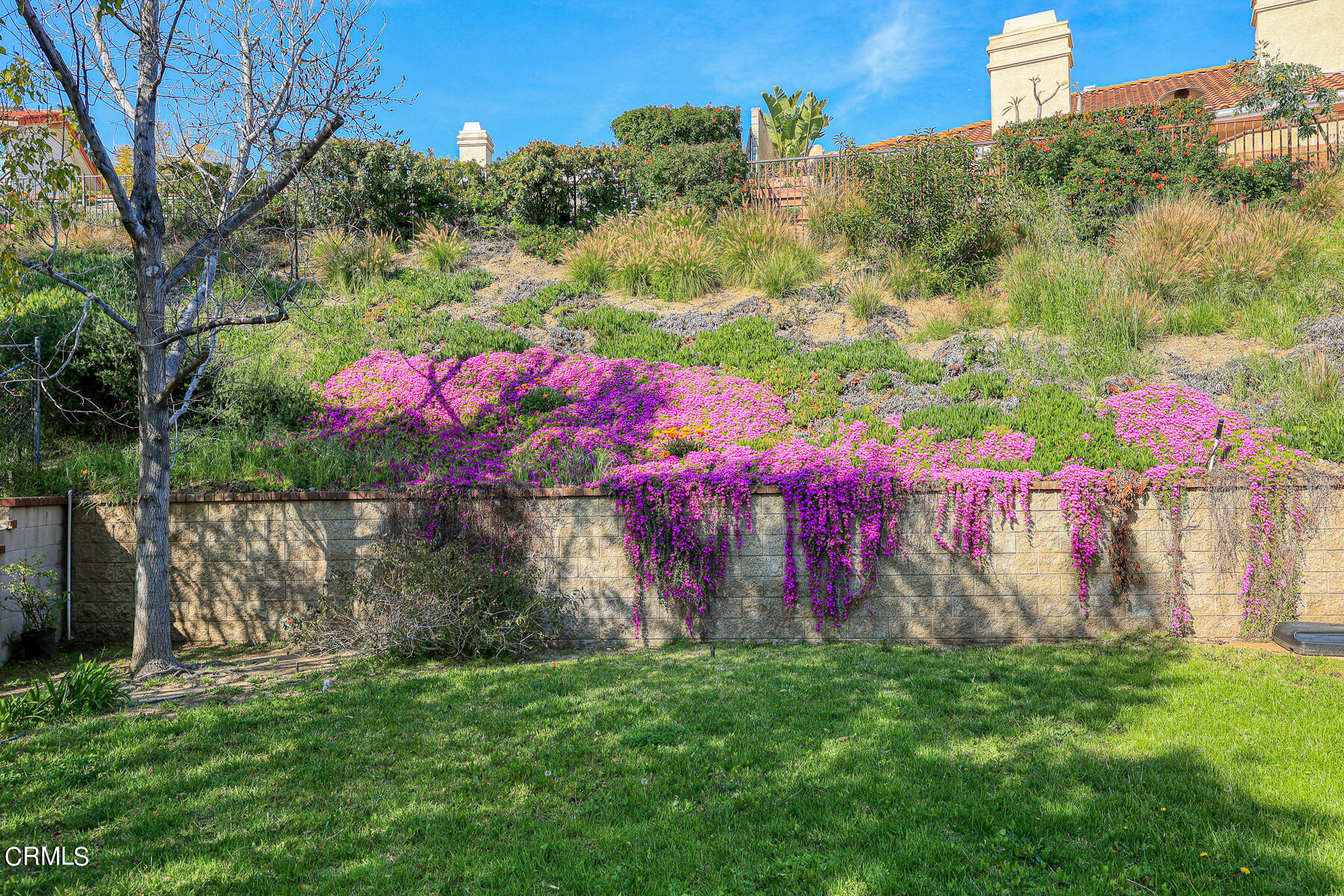 3337 Haven Way Burbank, CA 91504 - Photo 56 of 63 MLS_75
