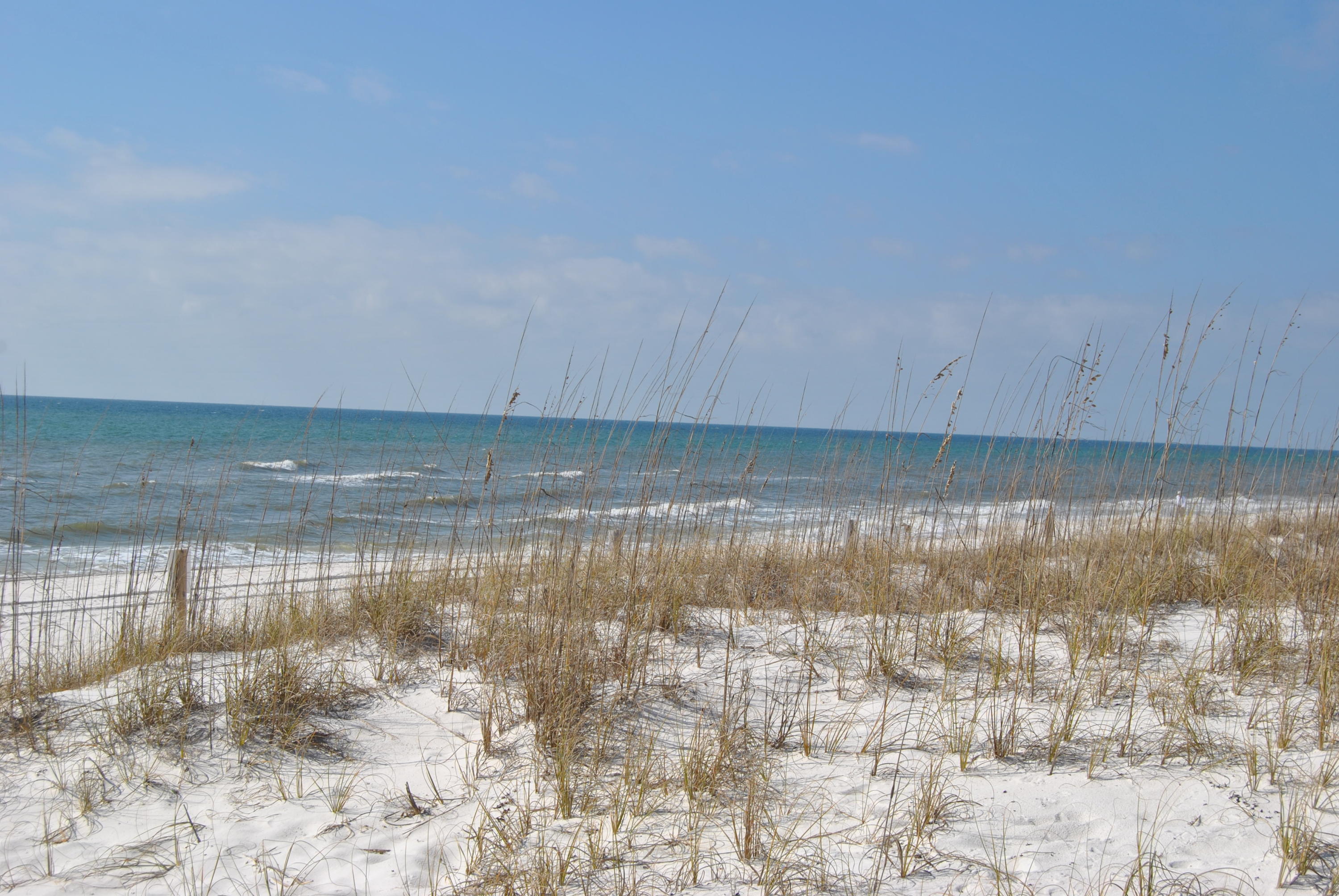 41 Topside Drive Inlet Beach, FL 32461 - Photo 20 of 42 a view of a lake view